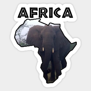 Africa Wildlife Continent Elephant Mist Sticker